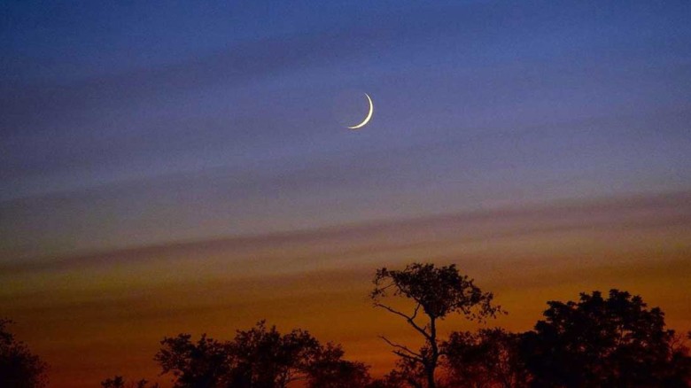 মালয়েশিয়া-ইন্দোনেশিয়ায় ঈদুল আজহার তারিখ ঘোষণা